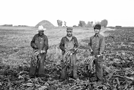 Russell Lee - Mexican beet workers, near Fisher, Minnesota, 1937
